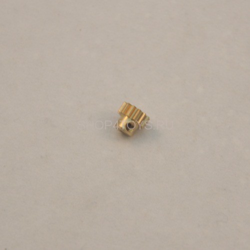 Пиньен HSP - 58045