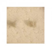 Шестерни кардана  S-track - S800-049