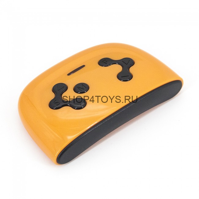 Пульт управления JR 2.4G для электромобилей - JR-RC-01