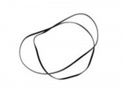 Ремень Dynam - ERZ1-009