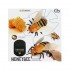 Радиоуправляемый робот Пчела Honeybee - 9923 Радиоуправляемый робот Пчела Honeybee - 9923