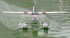 Радиоуправляемый самолет Art-tech Cessna 182 400 Class с лыжами 2.4G - 2101T Радиоуправляемый самолет Art-tech Cessna 182 400 Class с лыжами 2.4G - 2101T