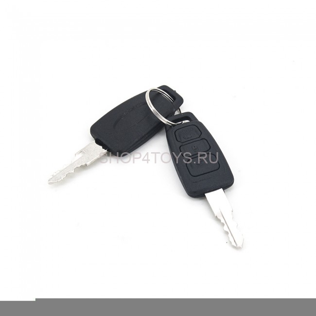 Ключ для электромобиля Ford Dake (2 шт) - DK-004