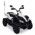 Детский спортивный электроквадроцикл Dongma ATV White 12V - DMD-268A-W Детский спортивный электроквадроцикл Dongma ATV White 12V - DMD-268A-W