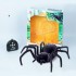 Радиоуправляемый робот-паук Black Widow - 779 Радиоуправляемый робот-паук Black Widow - 779